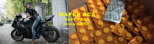 ПСИЛОЦИБИНОВЫЕ ГРИБЫ Кодинск