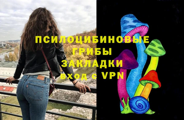 ПСИЛОЦИБИНОВЫЕ ГРИБЫ Козельск