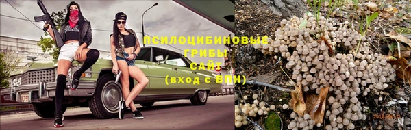 ПСИЛОЦИБИНОВЫЕ ГРИБЫ Козельск