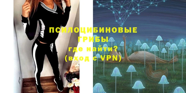 ПСИЛОЦИБИНОВЫЕ ГРИБЫ Кодинск