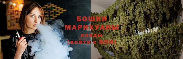 ПСИЛОЦИБИНОВЫЕ ГРИБЫ Кодинск